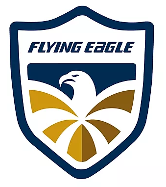 patines flying eagle en Inercia