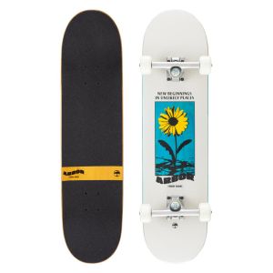 SKATE ARBOR STREET COMPLETE STREET 8.0’’ DAISY