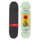 SKATE ARBOR STREET COMPLETE STREET 8.25’’ DAISY
