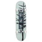 SKATE ENUFF EVERGREEN TREE GRIS 8