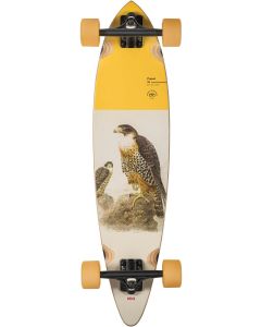 GLOBE PINTAIL FALCON 34’’ SHORTBOARD