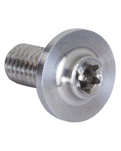 POWERSLIDE TI MOUNTING TORX T-25 16MM SCREW (2 PACK)